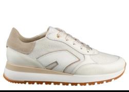 DL Sport 6225