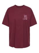 Only Onlvivvi life ss lovely top jrs bordeaux