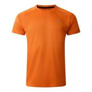 Dare2b Heren versnellen lichtgewicht t-shirt