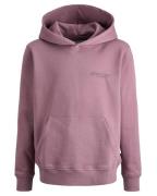 Jack & Jones Hoodie 12274579 jcounion