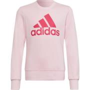 Adidas Sweatshirt met groot logo voor kinderen/kinderen