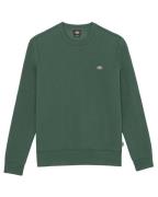 Dickies Sweatshirt dk0a4xcepin1