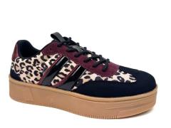 Poelman C1152148apsh3 lily