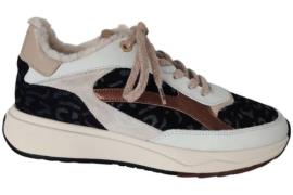 Floris van Bommel 10138-60-01 suvi sneaker
